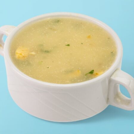 VEGETABLE SOUP